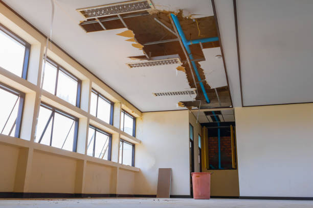 Best Mold removal after water damage  in Mathews, VA