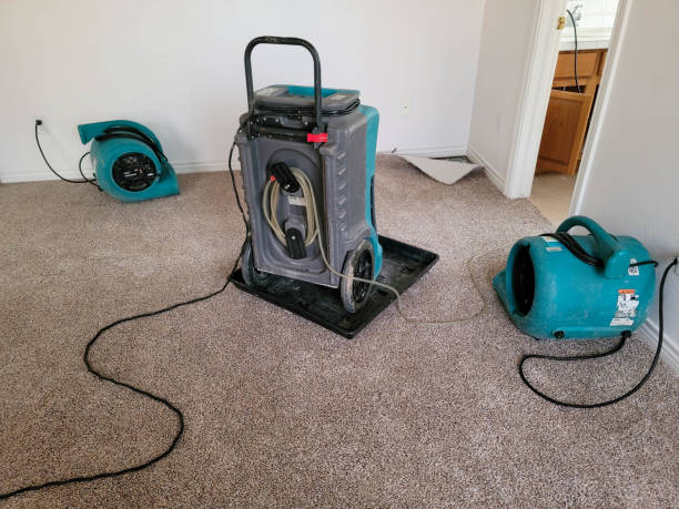 Best Sewage cleanup and water damage restoration  in Mathews, VA