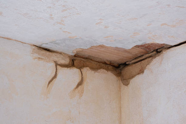 Best Residential water damage restoration  in Mathews, VA