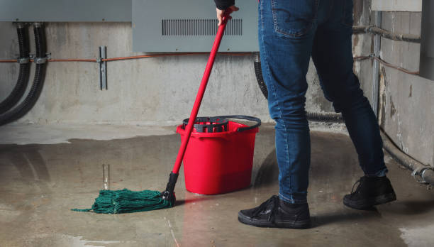 Best 24/7 water damage repair  in Mathews, VA