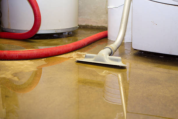Best Emergency water damage restoration  in Mathews, VA