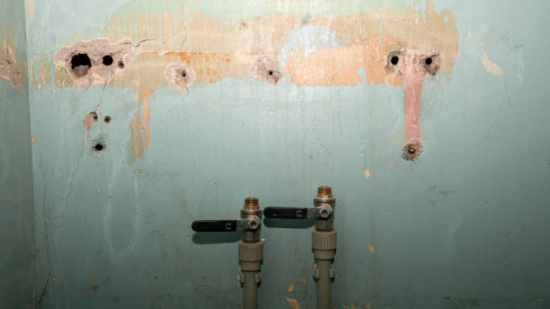 Best Flooded house restoration  in Mathews, VA