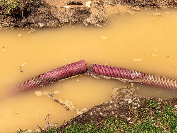 Best Water damage restoration company  in Mathews, VA