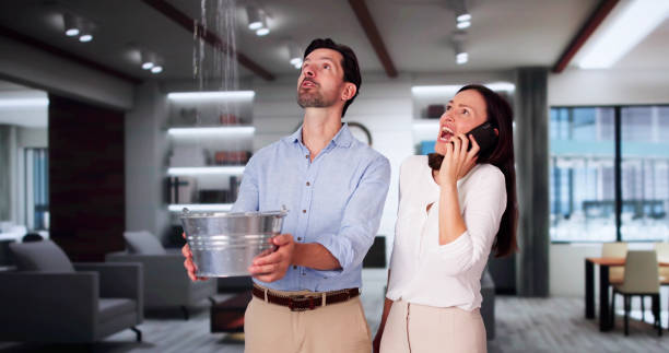 Best Water damage restoration near me  in Mathews, VA