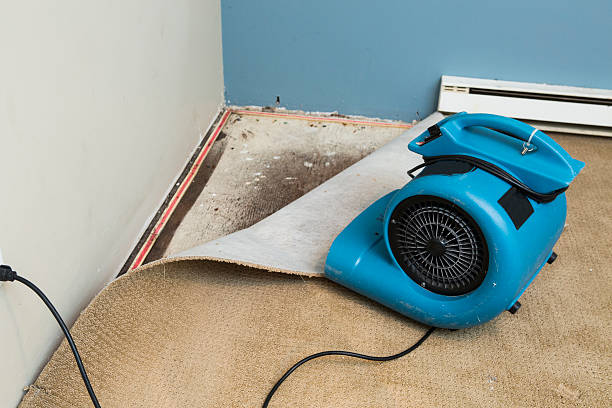Best Commercial water damage restoration  in Mathews, VA